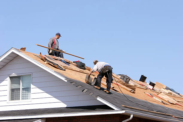 Professional Roofing services in North Lakes, AK